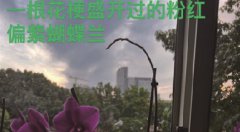 С