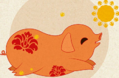 《2019猪年养生挂历》
