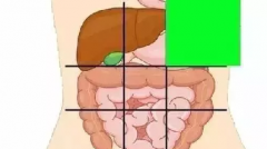 一张腹部地图，让你终身受益！