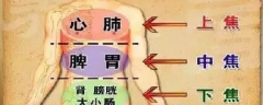 三焦不通老病缠身