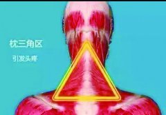 ˣٲţ