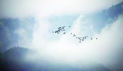 л10ǻۣ˳٣