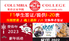 DMV 地区的新年活动 你想去哪儿都可以享受新年